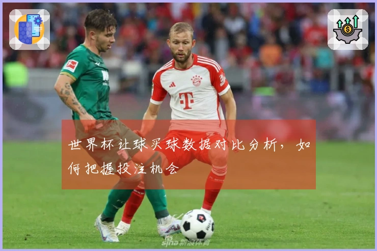 世界杯让球买球数据对比分析，如何把握投注机会