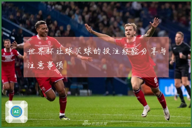 世界杯让球买球的投注经验分享与注意事项