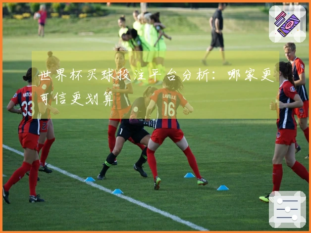 世界杯买球投注平台分析：哪家更可信更划算