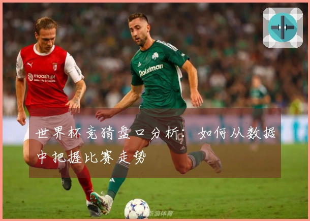 世界杯竞猜盘口分析：如何从数据中把握比赛走势