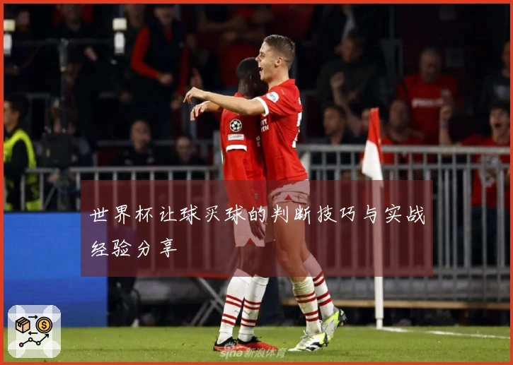 世界杯让球买球的判断技巧与实战经验分享
